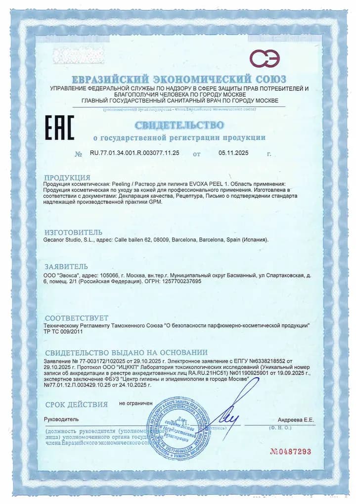 Первая страница СГР на EVOXA PEEL 1